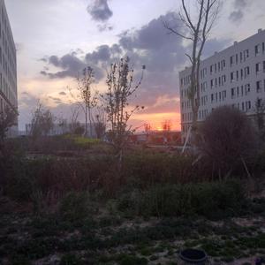 宜春院成人免费视频
