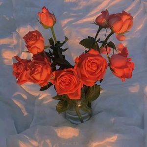 亚洲无码一二三区
