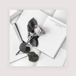 宜春院成人免费视频
